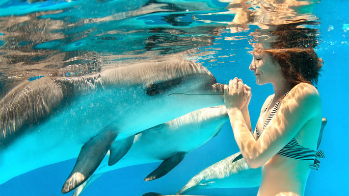 Delfinen Show in Antalya-Side-Alanya oder Kemer