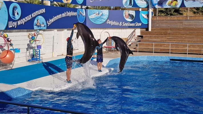 Delfinen Show in Antalya-Side-Alanya oder Kemer