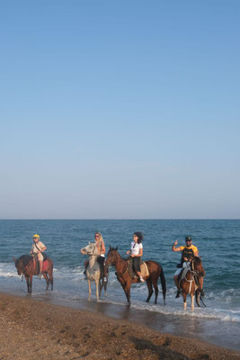 Horse Riding Belek