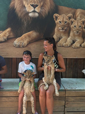 Lion Safari and Green Canyon Splash Feast | Belek Tours