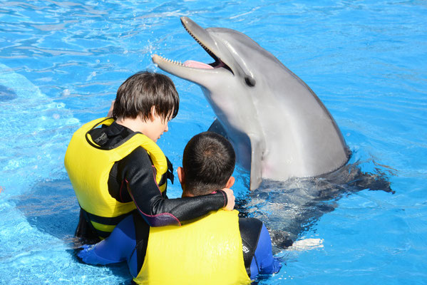 Antalya Dolphin Show