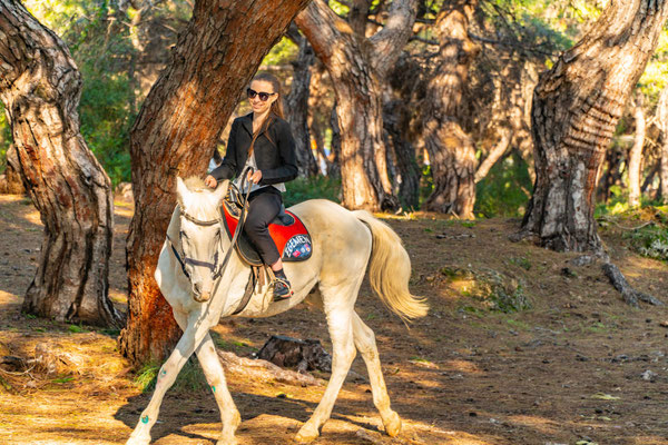 Horse Riding Antalya, Belek, Side & Kemer | Beach & Forest Tours  | Belek Tours