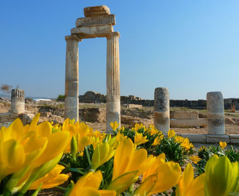 Pamukkale Full-Day Guided Tour from Belek