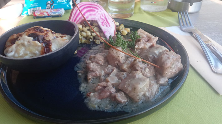 Lammragout
