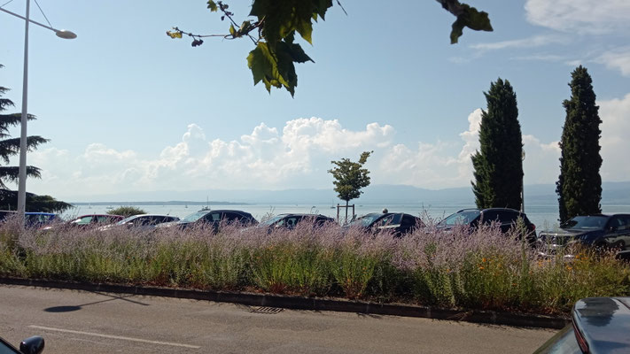 Genfer See auf dem Weg nach Montreux