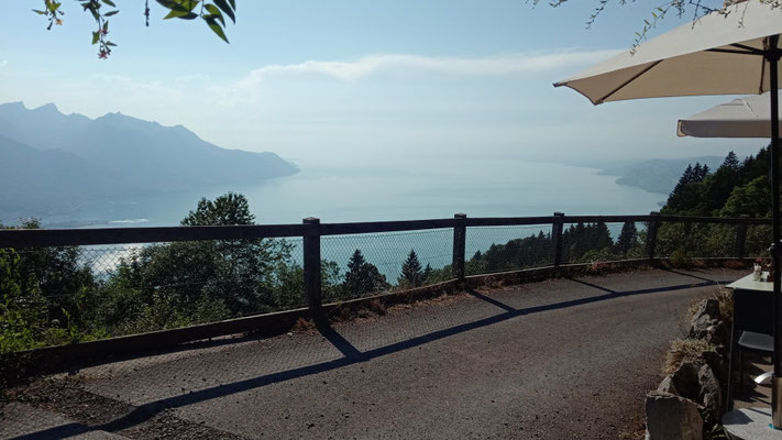 Blick vom https://www.aubergedesonchaux.ch/