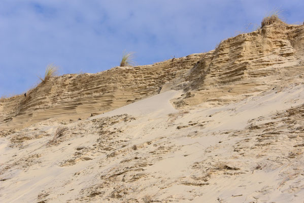 Dunes sculptées par le vent au Nord de Lacanau
