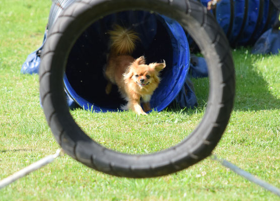 Tunnel und grad dr Pneu avisiere