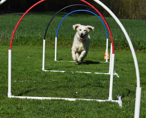 Gschwind durch die Hoops!