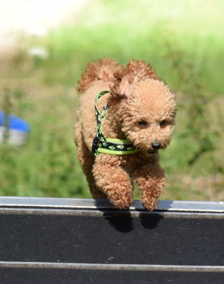 Gäll, das find i au mega toll!