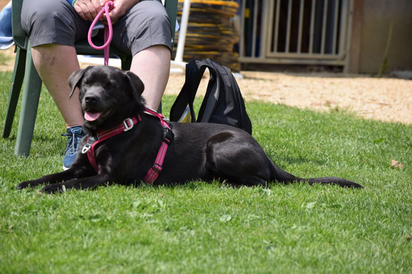 Hmmm, mol churz dureschnufe...