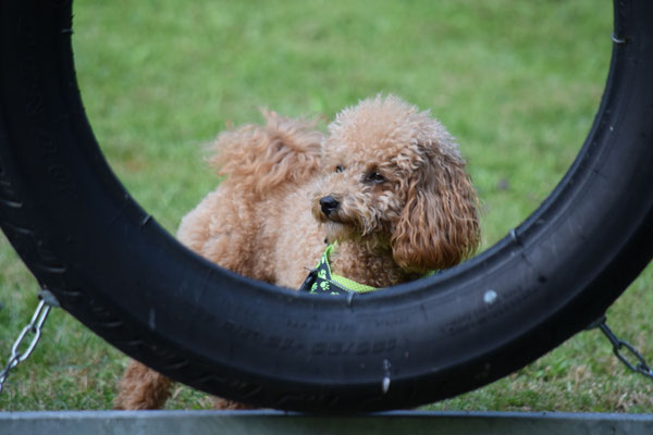 Ehm, also, hmmm, das isch do öbis, wo i nid kenn...