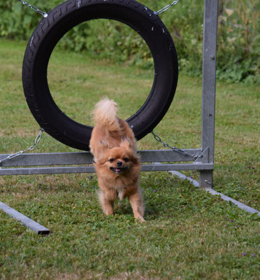 Ui, dr Pneu! Kein Problem für mich