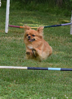 Yeah, fascht wie fliege!!!