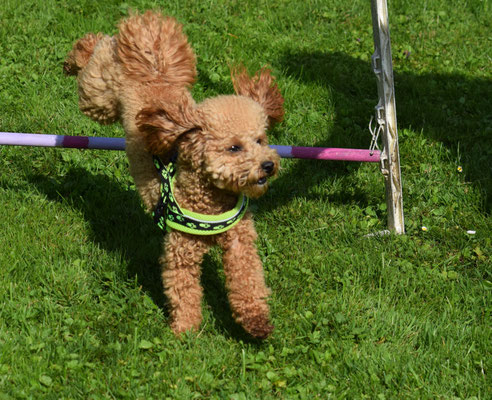 ... Lande und witer gohts