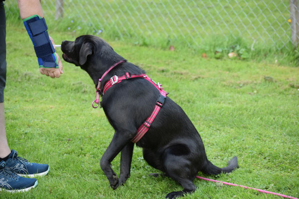 Das klappt jo scho ganz guet!