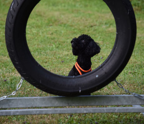 Bi au bitz skeptisch...