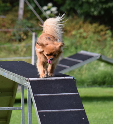 Muetig über dr Stäg