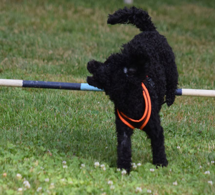 ... lande und luege...