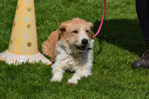 Ruehig vor der Arbet