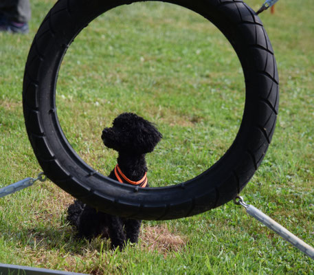 Eh, guet, i versuechs nomol