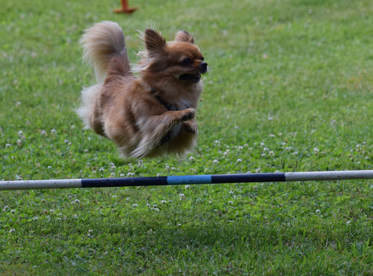 Perfekti Körperhaltig