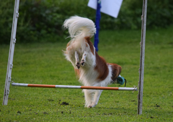 Upps, fascht dr Handstand gmacht...