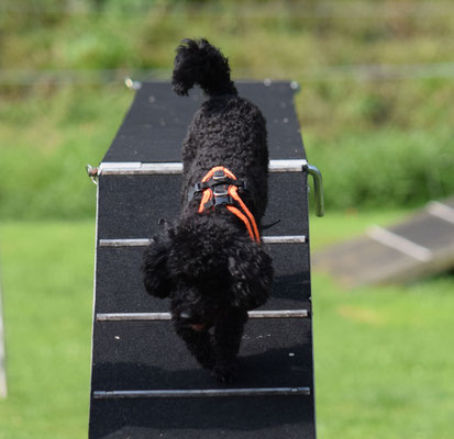 Und äne wieder abe...