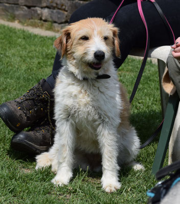 Juhuii, es goht öbis!