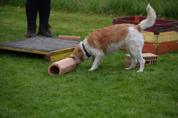 In dr Röhre inne? Meinsch würklig?
