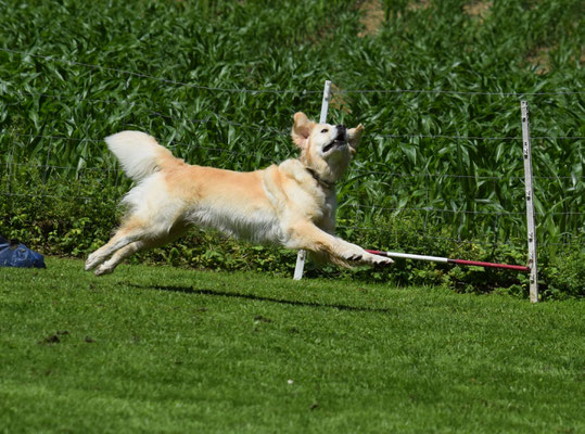 Hui, das macht Spass! I darf em Ball nochespringe - eh, -fliege!