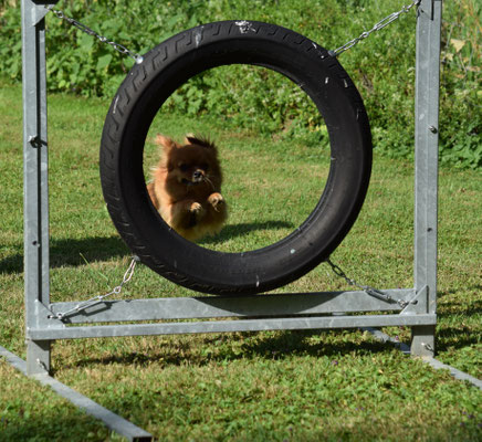 Perfekte Sprung durch dr Pneu