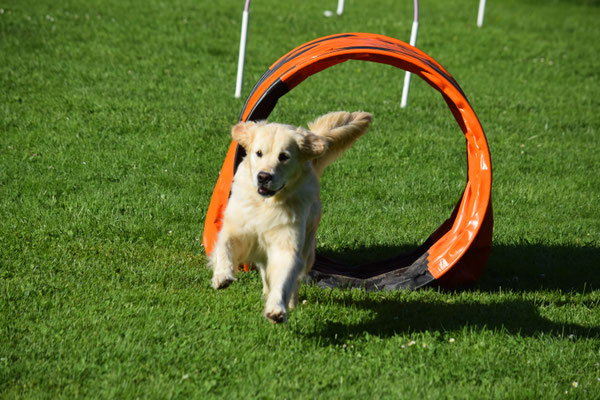 Das fägt - das HoopAgi!!!