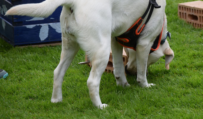 Aber finde isch gar nid so eifach!