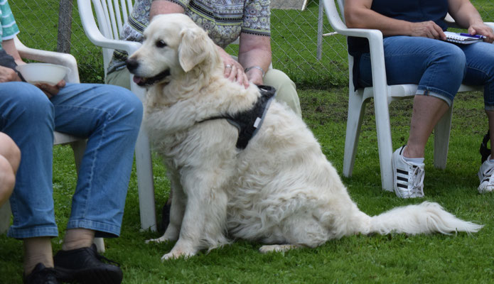 Interessierte Hunde waren auch dabei. Eher im Stil von "Kann man das essen???"