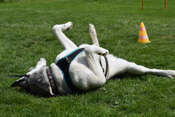 ...uuuuhhhh, das duet guet!