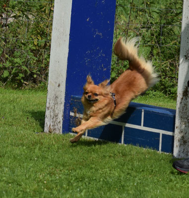 Wow, d Mure mit Elan gno