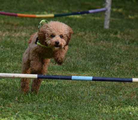 ... loslaufe und springe..