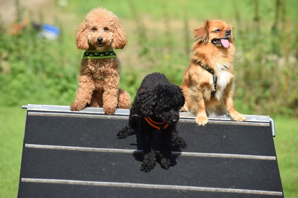 Ui, alli drei uf dr Wand... Nid für alli toll...