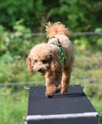 So, fühl mi scho bitz besser so höch obe