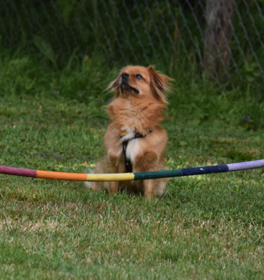 Konzentration vor em Start