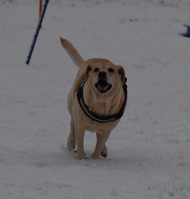 Endlich Schnee!