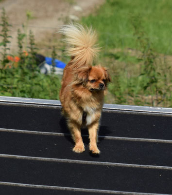 Churz dr Überblick ha