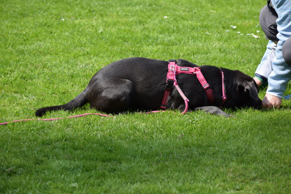 Super! Azeig scho im Platz!