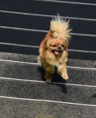 ... und äne wieder abe