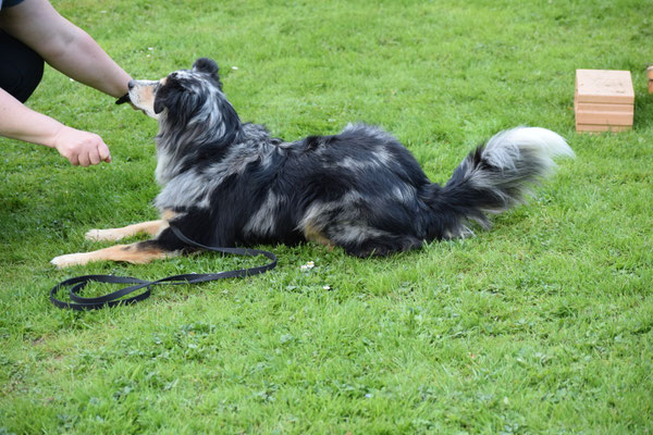 I verstands eifach nid...