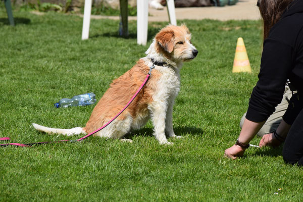 Ehm... muess mol studiere...