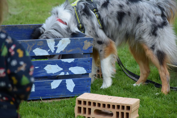 Hmmm, ächt in dr Harasse inne???
