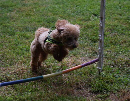 und grad no einisch, will s so toll isch!