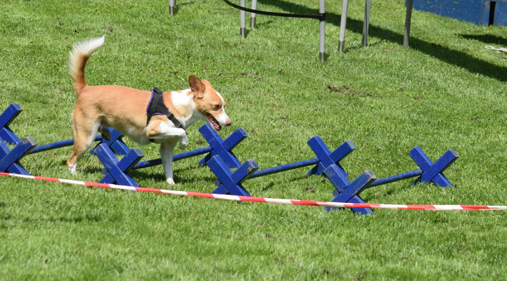 Bei rächts vorne hebe.... Schöne Chrampf...